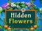 游戏Hidden Flowers在线