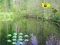 游戏Sunlight Forest Adventure在线