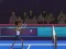 游戏Badminton Brawl在线