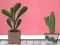 游戏Find Houseplant在线