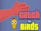 游戏Catch the Birds在线