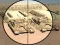 游戏Camo Sniper在线