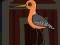 游戏Cute Godwit Escape在线