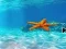 游戏Escape From Underwater Starfish在线