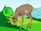 游戏The Deer Meadow Escape在线