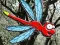 游戏Escape From Dragonfly Forest在线