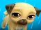 游戏My Virtual Pet Louie the Pug在线