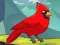游戏Rescue The Northern Cardinal在线