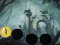 游戏Hungry Devil Forest Escape在线