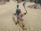 游戏The Scythian Warrior在线