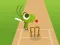 游戏Doodle Cricket在线