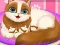 游戏Cute Kitty Pregnant在线
