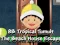 游戏8B Tropical Tumult The Beach House Escape在线