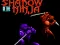 游戏Shadow of the Ninja在线
