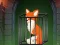 游戏Fox in the Forgotten Ruins在线