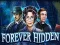 游戏Forever Hidden在线