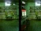 游戏Robot Bar Spot the differences在线