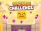 游戏Sponge Challenge在线