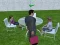 游戏Millionaire Simulator 2024在线