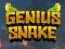 游戏Genius Snake在线