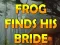 游戏Frog Finds His Bride在线