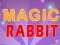 游戏Magic Rabbit在线