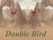 游戏Double Bird在线