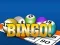 游戏Bingooo 2024在线