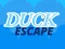 游戏Duck Escape在线