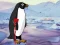 游戏Heal the Wounded Penguin在线