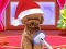 游戏Christmas ASMR Makerover Salon在线