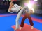 游戏Karate Fighter在线