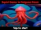 游戏Squid Game In Dalgona Panic在线