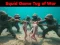 游戏Squid Game Tug Of War在线