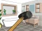 游戏Smash The Room To Pieces在线