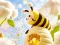 游戏Find The Differences: Little Bee's Adventure在线