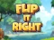 游戏Flip It Right在线