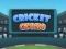 游戏Cricket Craze在线