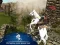 游戏Ertugrul Gazi Horse Sim在线