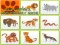 游戏Wild Animals Kids Memory game在线