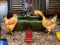 游戏Poultry Farm Easter Escape在线
