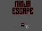 游戏Ninja escape在线
