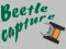 游戏Beetle Capture在线