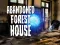 游戏Abandoned Forest House在线