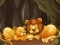 游戏Fun Zoo Animals Jigsaw在线