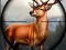 游戏Animal Safari Hunter 2020在线