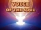 游戏Voice Of The Soul在线