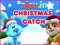 游戏Nick Jr. Christmas Catch在线