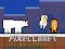 游戏PixelCraft Animal School在线