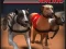游戏Greyhound Racing在线